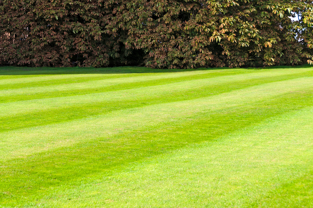 landscape materials hillsborough bridgewater branchburg nj tool